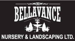 Bellavance Logo